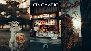 POV CINEMATIC Presets - Lightroom Mobile Preset Free DNG | POV Street Photography Presets screenshot 5