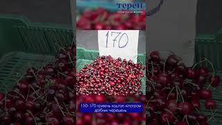 Скільки коштують черешні  на ринку у Тернополі