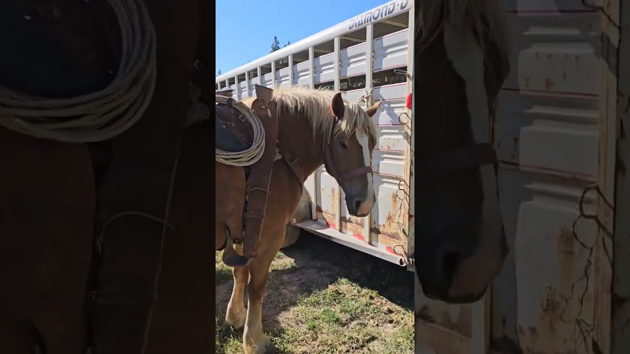 Took a break from ranching and went backcountry pack tripping.     