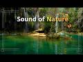 Soft music / Nature sounds FOR TRANQUILITY AND REST 🌿🌊
