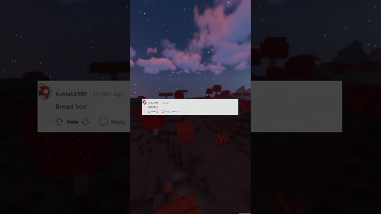 Whats on top of your fridge right now? 