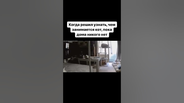 Когда решил узнать, чем занимается кот, пока дома никого нет