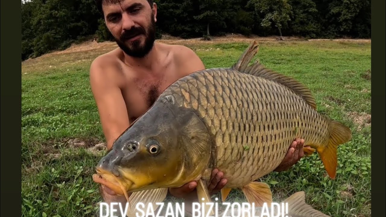 DEV TROFE SAZAN BALİGİ TAKSADA KURTULAMADI! AYNALI SAZANİ SUYA İADE ETTİK! BOL AKSİYON! 