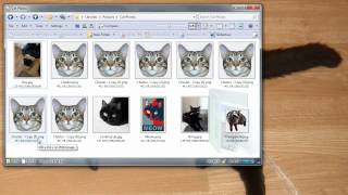 Directory Opus 10.2.0.0 highlights screenshot 1