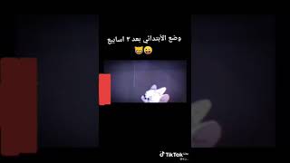 اي والله