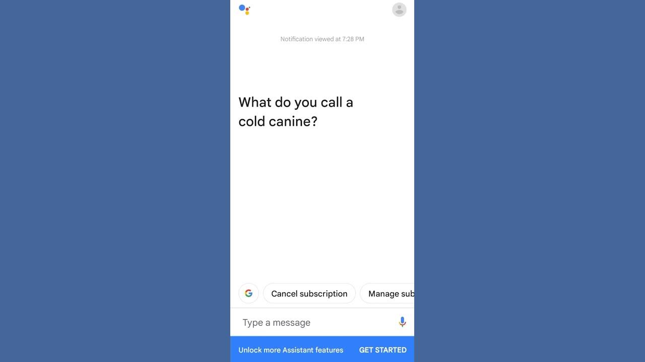 What do you call a cold canine? YouTube