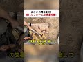 まさかの再生技術! 壊れたフレームを完全補修! #修理工程 #鉄工技術 #職人の技 #トラック整備 #ビフォーアフター