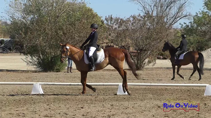303D Katherine Jackman on Lookit Louie Intro Dress...