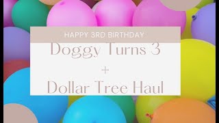 Doggy Turns 3  Dollar Tree Haul | Preschool Workbooks