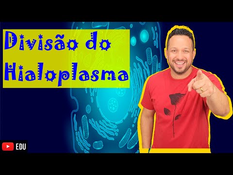Divisão do Hialoplasma (Citoplasma) - Ectoplasma (Citogel) e Endoplasma (Citosol) - Citologia