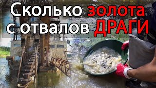 Сколько золота с отвалов драги.