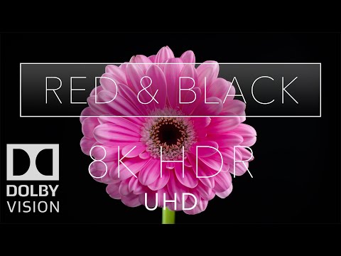 Video: Holen Sie Sich Diesen Hervorragenden OLED 4K-Fernseher Für 1099 Am Black Friday