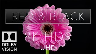 8k HDR Ultra HD Red & Black Dolby Vision