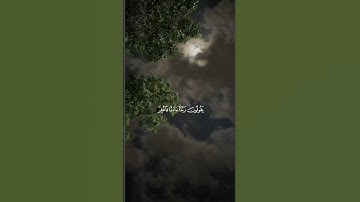 القارئ : إسلام صبحي ﴿ إِنَّهُ كَانَ فَرِيقٌ مِّنْ عِبَادِي يَقُولُونَ رَبَّنَا ﴾[ المؤمنون: 109]