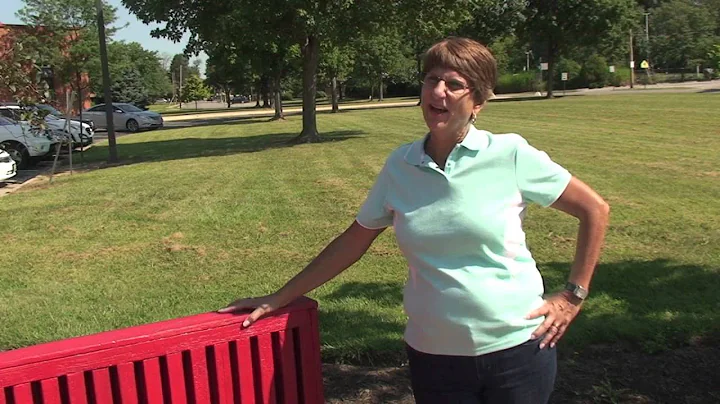 Diane Conley Discusses Why She Supports Nancy Nest...
