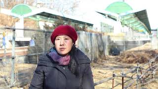 스튜디오 뒷마당/두개의 반달