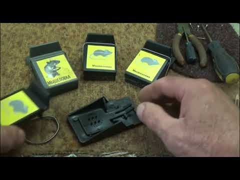 Лучшая.Мышеловка с доработкой.. Best.Mousetrap Лучшая.Мышеловка с доработкой.. Best.Mousetrap