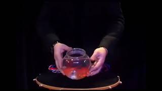 Appearing Fish Magic - Sword Magic Shop