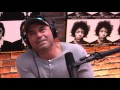 Joe rogan  9 to 5 jobs are bs why waste your life