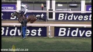 20150818 Greyville Race 4 won by EYE THE COUNTESS