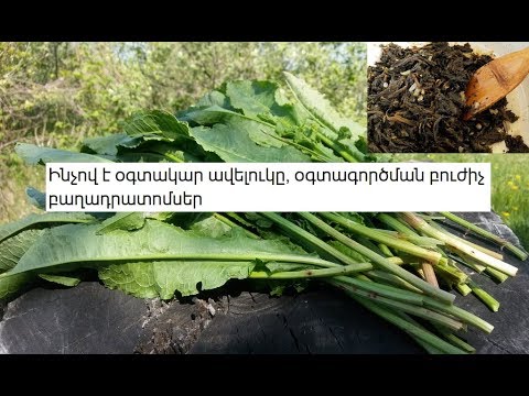 Video: Ալոե `ներքին օգտագործման խոհարարական բաղադրատոմսեր