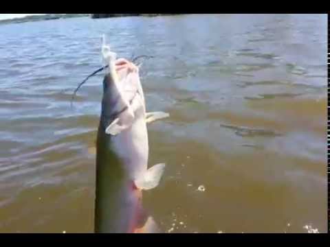 Fishing in Back Bay National Wildlife Refuge - YouTube