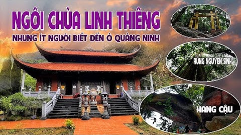 Tuừ hải phòng đến chùa lôi âm bao nhiêu cây năm 2024