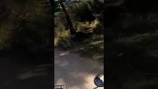TW200 Hill Climb #tw200 #idaho #yamaha #dualsport