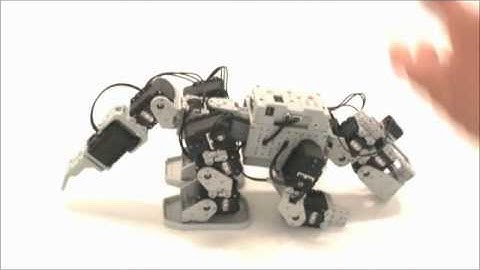 Gilbo & Robotis - Bioloid Premium Kit - Dinazor www.robotsepeti.com www.gilbo.com.tr