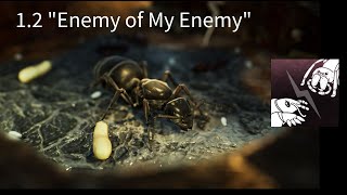 "Enemy of My Enemy" Achievement | Empires of the Undergrowth 1.2 Easy