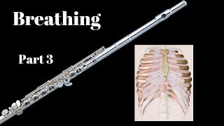 Flute Breathing: Part 3 Ribs and Intercostal Muscles