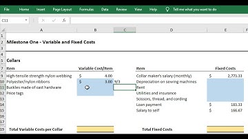 ACC202 Show Your Work