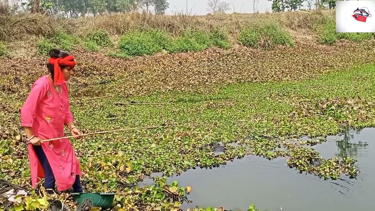 Amazing Fishing Videos / How to fish Catching with a hook / Gram Bangla Fishing