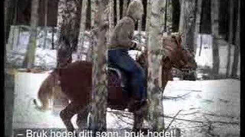 NTNU "Odel",  commercial