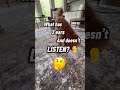 Use your ears #memes #puppy #pets #goldendoodle #funnydog