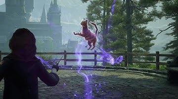 Hogwarts Legacy you can "pet" the cat...