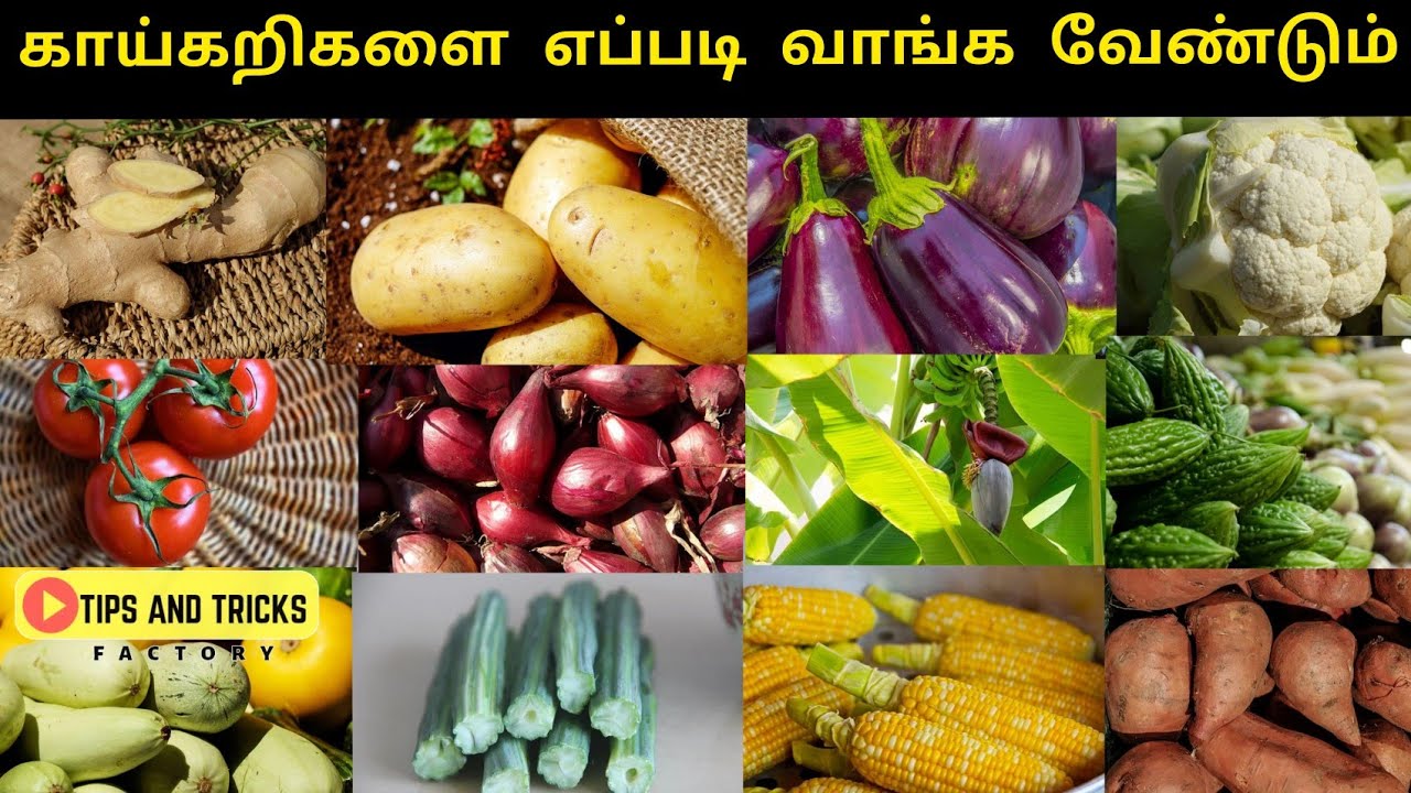 நல்ல ą®ாய்ą®ą®±ிą®ą®³ை ą®ą®Ŗ்பą®ி ą®ą®µą®©ித்து வாą®்஠வேண்ą®ுą®®்| How to Buy Good