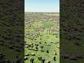 The Plain Of Ndutu Serengeti The Plain Of Ndutu Serengeti