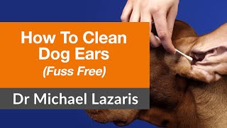 Vet Shares 1 Simple Way To Clean Your Dogs Ears