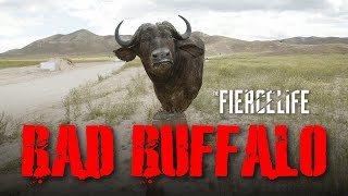 TANNERITE EXPLOSION - BLOW UP A BAD BUFFALO