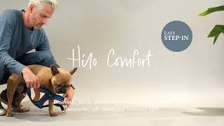 【犬用ハーネス】ヒロ【HUNTER】