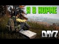 DayZ patch 1.09 | Вчера треш  | Что сегодня? | squad