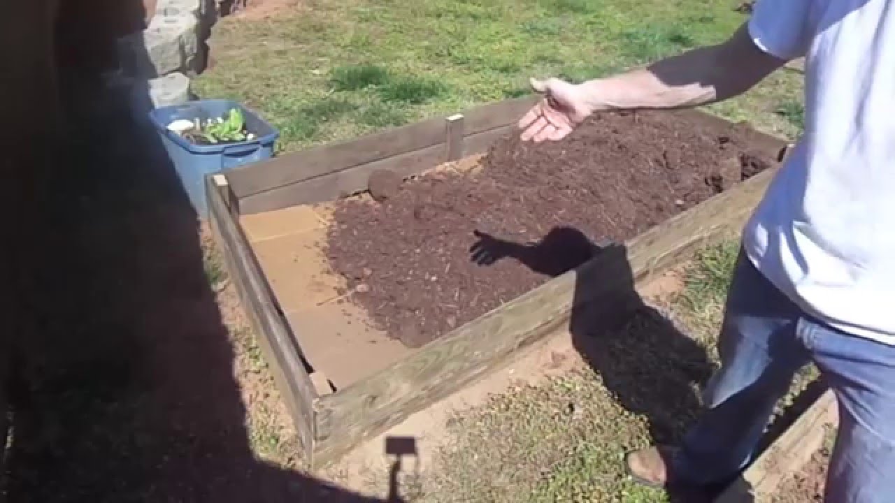 How to Build a Raised Garden Bed CHEAP - YouTube