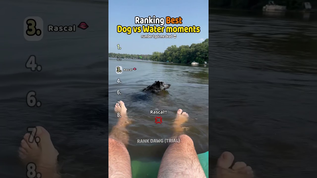 Rank Dawg Final