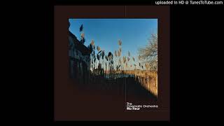 The Cinematic Orchestra - To Build A Home 528 Hz