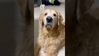 학교 축제 무대 찢은 럭키 형아🔥 관객 환호 터졌다