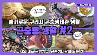 [슬기로운 구리시 곤충생태관 생활] 곤충동 생활 #2