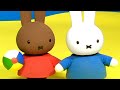 Miffy Se Perde Na Praia! | Miffy | Filmes De Animação Para Crianças