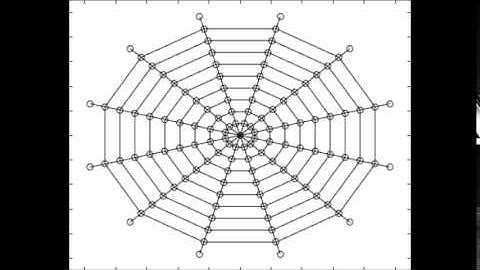 Spider Web Response to Insect Impact