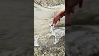 Finger Skimboarding?!